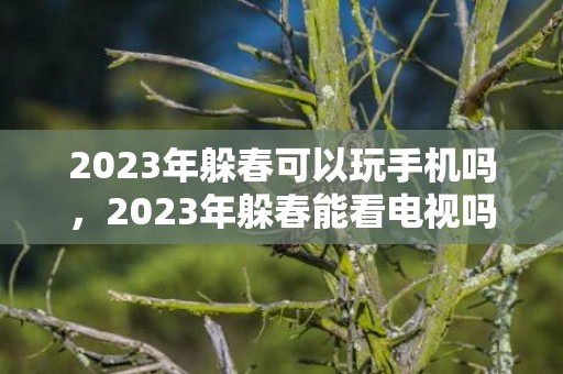 2023年躲春可以玩手机吗，2023年躲春能看电视吗