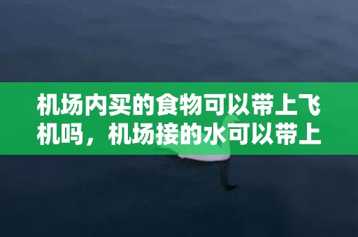 机场内买的食物可以带上飞机吗，机场接的水可以带上飞机吗