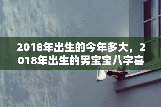 2018年出生的今年多大，2018年出生的男宝宝八字喜火的字推荐？