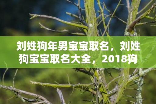 刘姓狗年男宝宝取名，刘姓狗宝宝取名大全，2018狗年姓刘的宝宝名字推荐