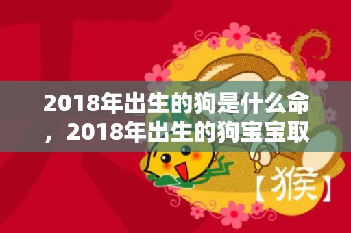 2018年出生的狗是什么命，2018年出生的狗宝宝取名大全