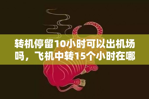 转机停留10小时可以出机场吗，飞机中转15个小时在哪里休息