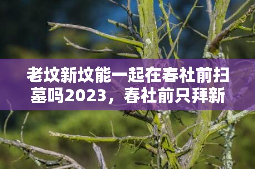 老坟新坟能一起在春社前扫墓吗2023，春社前只拜新坟吗