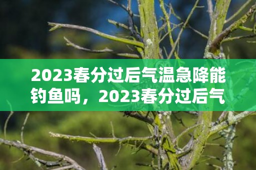 2023春分过后气温急降能钓鱼吗，2023春分过后气温急降能钓鱼吗