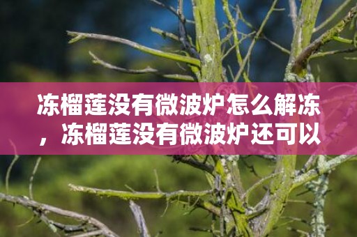 冻榴莲没有微波炉怎么解冻，冻榴莲没有微波炉还可以用什么解冻