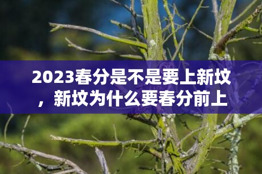 2023春分是不是要上新坟，新坟为什么要春分前上