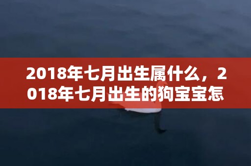 2018年七月出生属什么，2018年七月出生的狗宝宝怎么取名？名字推荐