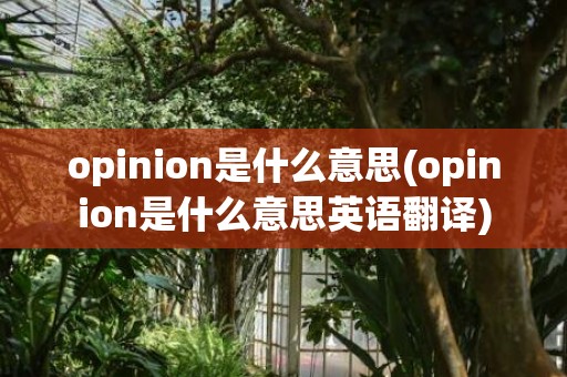 opinion是什么意思(opinion是什么意思英语翻译)