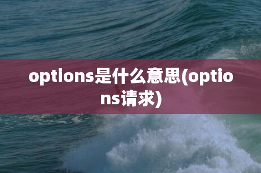 options是什么意思(options请求)