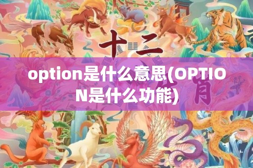 option是什么意思(OPTION是什么功能)