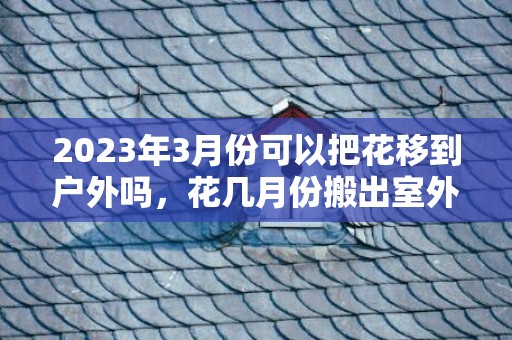 2023年3月份可以把花移到户外吗，花几月份搬出室外比较合适