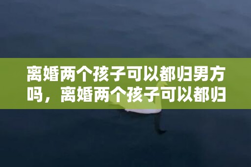 离婚两个孩子可以都归男方吗，离婚两个孩子可以都归一方吗，离婚俩孩子怎样才能都归女方