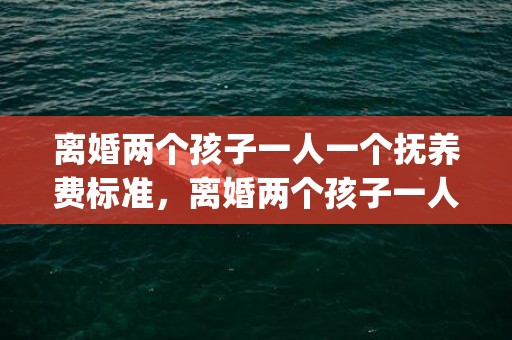 离婚两个孩子一人一个抚养费标准，离婚两个孩子一人一个抚养费的判定标准(两个孩子抚养费应该给多少)