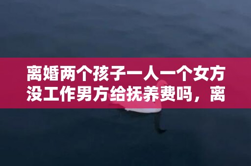 离婚两个孩子一人一个女方没工作男方给抚养费吗，离婚两个孩子一人一个抚养费标准？两个孩子一儿一女离婚怎么判