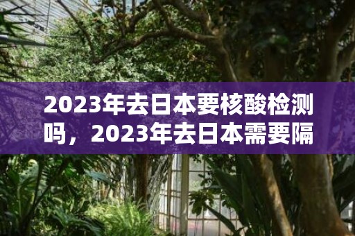 2023年去日本要核酸检测吗，2023年去日本需要隔离吗