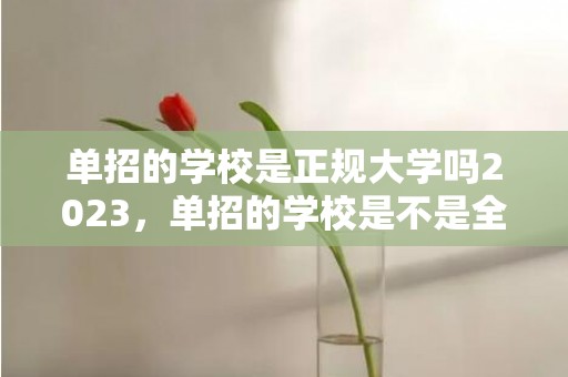 单招的学校是正规大学吗2023，单招的学校是不是全日制大专