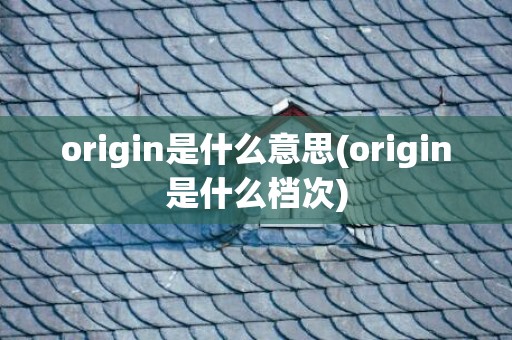 origin是什么意思(origin是什么档次)