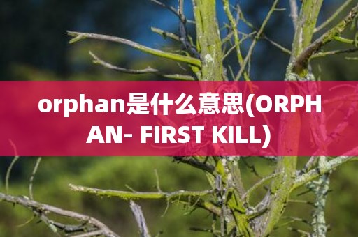 orphan是什么意思(ORPHAN- FIRST KILL)