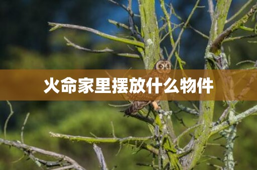 火命家里摆放什么物件