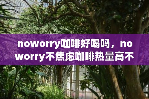 noworry咖啡好喝吗，noworry不焦虑咖啡热量高不高