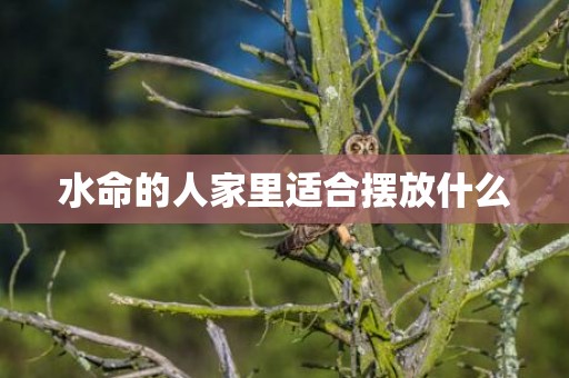 水命的人家里适合摆放什么