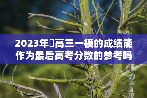 2023年​高三一模的成绩能作为最后高考分数的参考吗，高三一模成绩相当于高考多少分