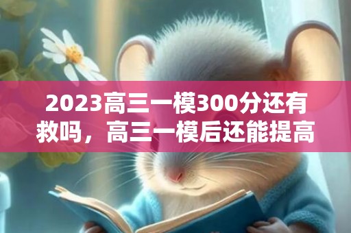 2023高三一模300分还有救吗，高三一模后还能提高成绩吗