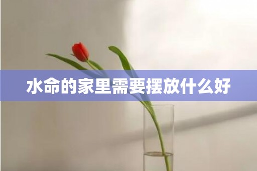 水命的家里需要摆放什么好