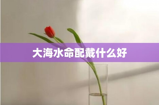 大海水命配戴什么好