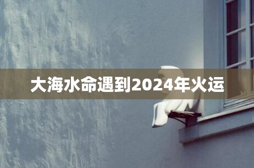 大海水命遇到2024年火运