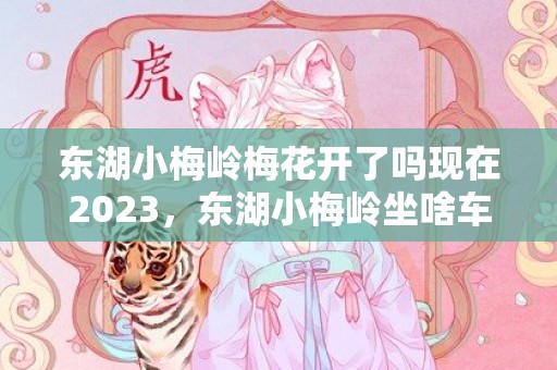 东湖小梅岭梅花开了吗现在2023，东湖小梅岭坐啥车游玩攻略