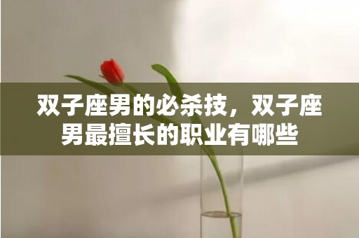 双子座男的必杀技，双子座男最擅长的职业有哪些