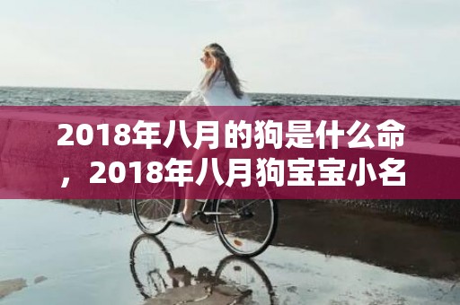 2018年八月的狗是什么命，2018年八月狗宝宝小名怎么取？取小名需要注意哪些？