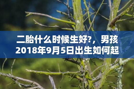 二胎什么时候生好?，男孩2018年9月5日出生如何起名？有什么讲究吗？