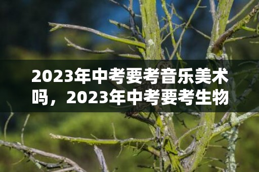 2023年中考要考音乐美术吗，2023年中考要考生物地理吗