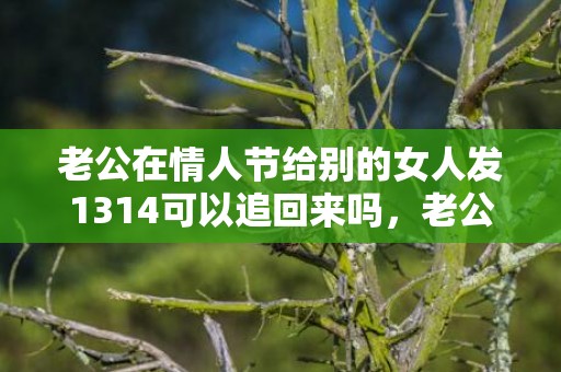 老公在情人节给别的女人发1314可以追回来吗，老公给别的女人发1314我该怎么办