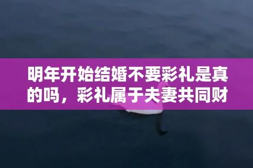 明年开始结婚不要彩礼是真的吗，彩礼属于夫妻共同财产吗