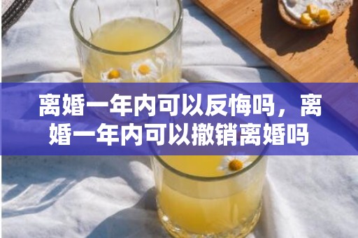 离婚一年内可以反悔吗，离婚一年内可以撤销离婚吗