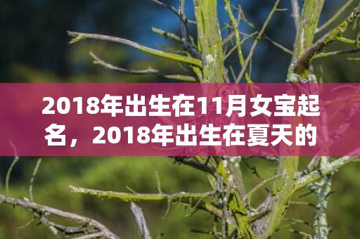 2018年出生在11月女宝起名，2018年出生在夏天的宝宝五行取名,夏天宝宝缺什么五行？