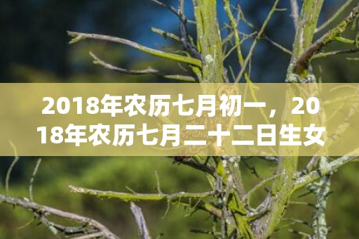 2018年农历七月初一，2018年农历七月二十二日生女孩该怎么取名呢？