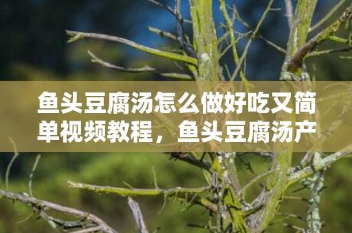 鱼头豆腐汤怎么做好吃又简单视频教程，鱼头豆腐汤产妇可以喝吗，产妇几天可以喝鱼头豆腐汤