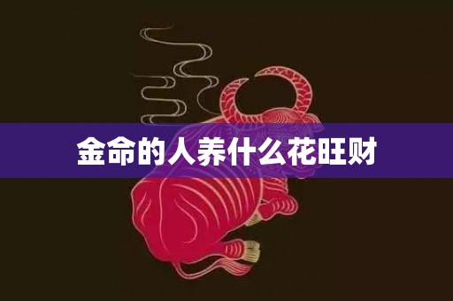 金命的人养什么花旺财