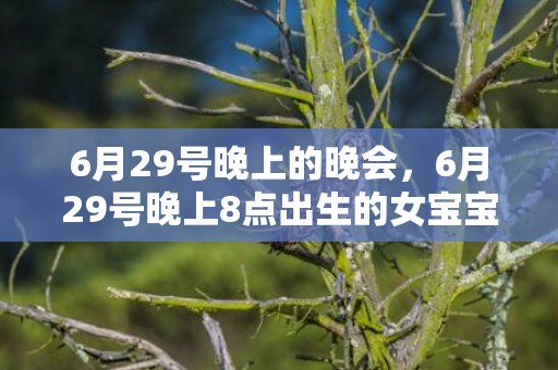 6月29号晚上的晚会，6月29号晚上8点出生的女宝宝怎么起名字