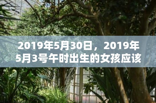 2019年5月30日，2019年5月3号午时出生的女孩应该起什么样的名字