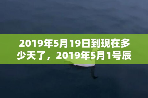 2019年5月19日到现在多少天了，2019年5月1号辰时出生的女孩取名必看