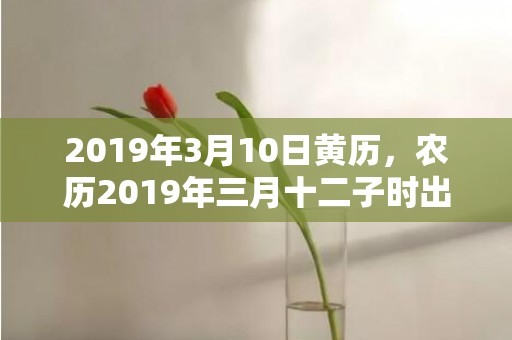 2019年3月10日黄历，农历2019年三月十二子时出生的女宝宝如何起名字，五行属什么