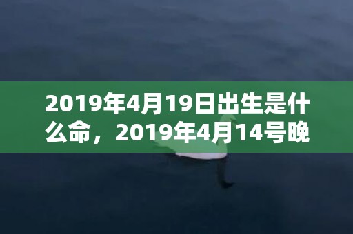 2019年4月19日出生是什么命，2019年4月14号晚上出生的女孩怎么样起名字