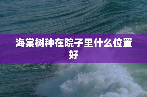 海棠树种在院子里什么位置好