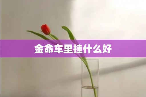 金命车里挂什么好