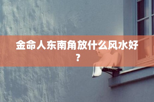 金命人东南角放什么风水好？